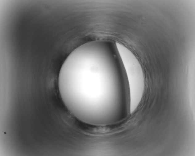 X0000089690225200706210840