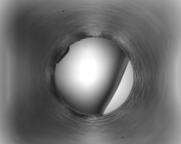 X0000089690229200706210840