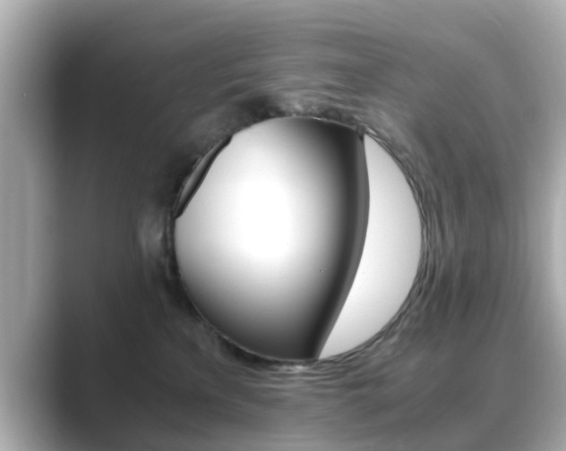 X0000089690233200706210840