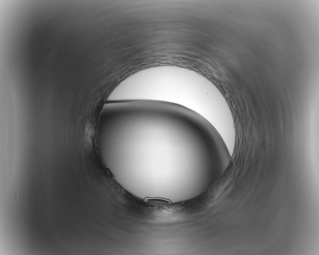 X0000089690235200706210840