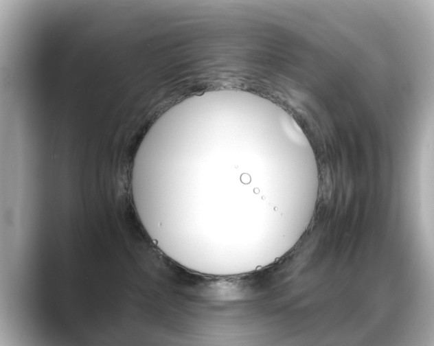 X0000089690236200706210840