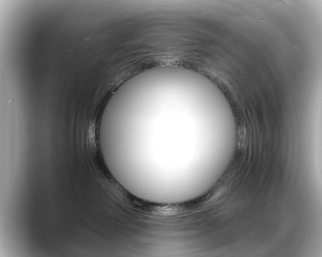 X0000089690238200706210840