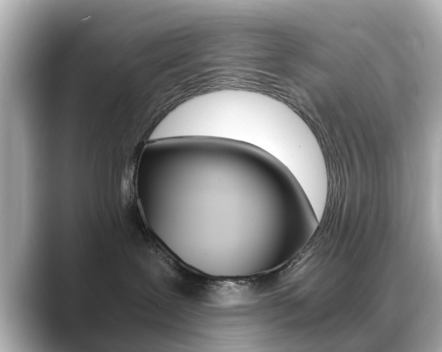 X0000089690239200706210840