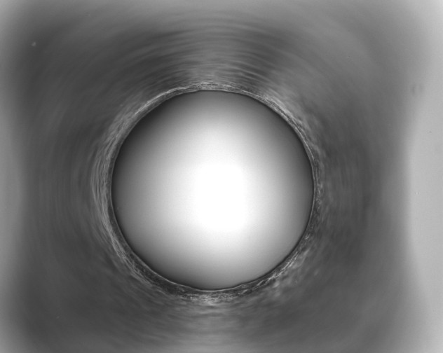 X0000089690241200706210839