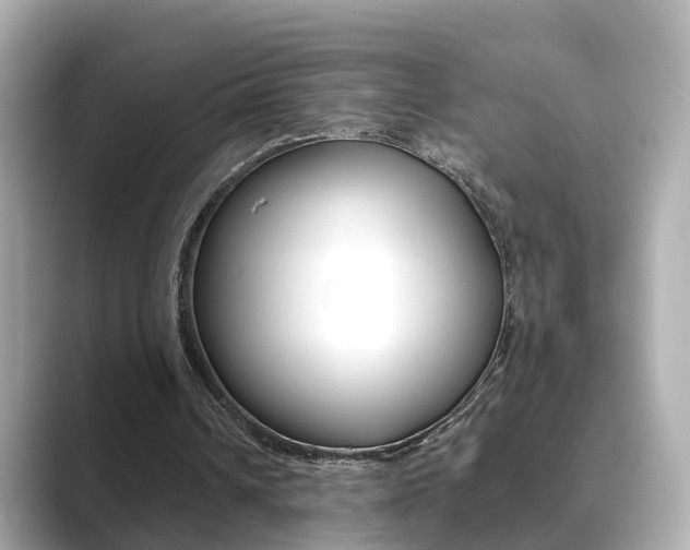 X0000089690242200706210839