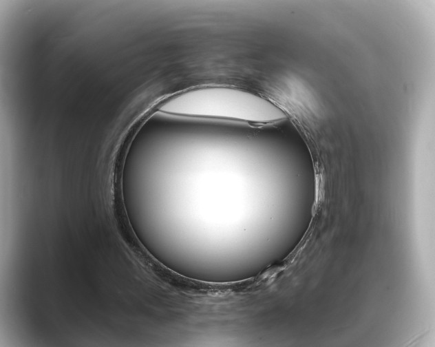 X0000089690243200706210839