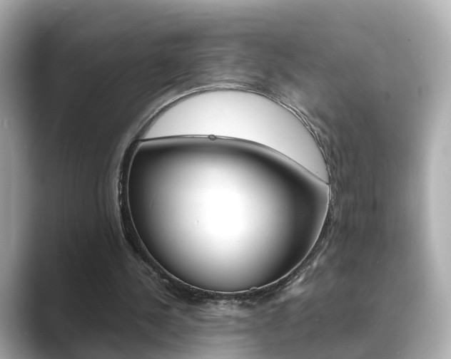 X0000089690244200706210840