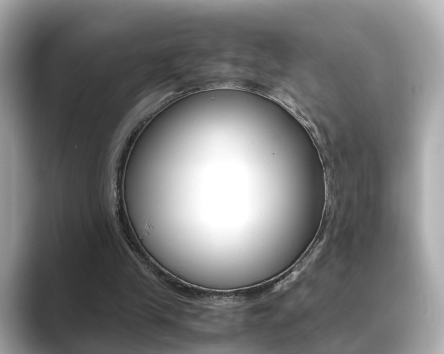 X0000089690245200706210840