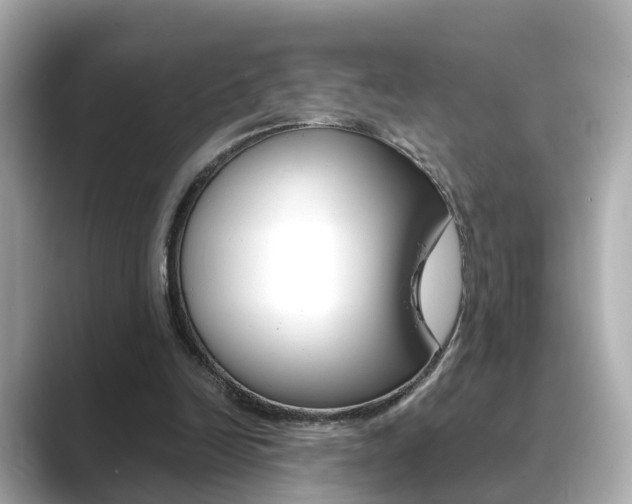X0000089690246200706210840