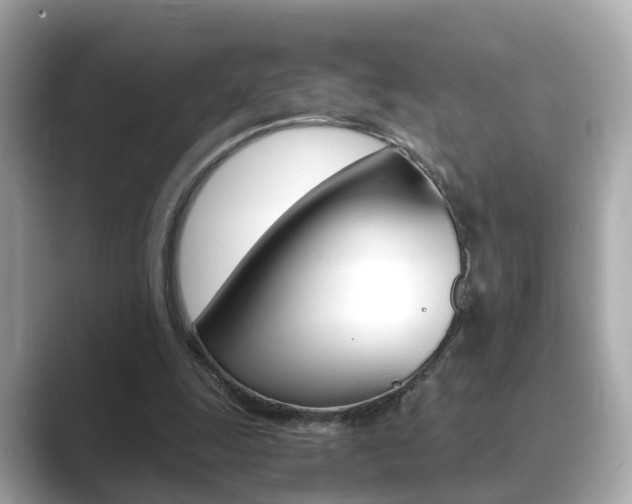 X0000089690247200706210840