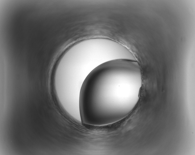 X0000089690248200706210840