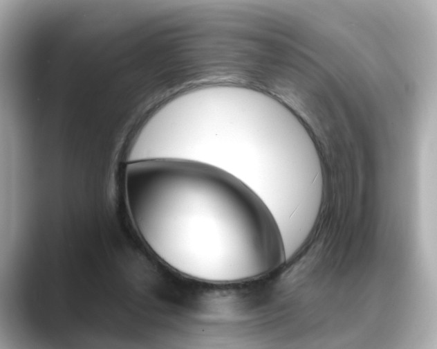 X0000089690252200706210840