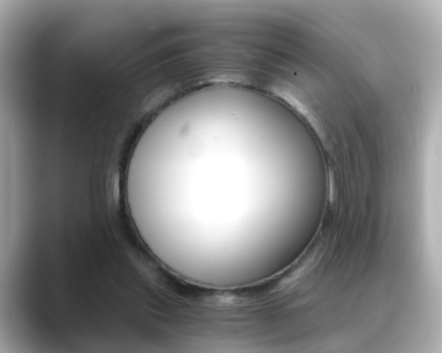 X0000089690253200706210840
