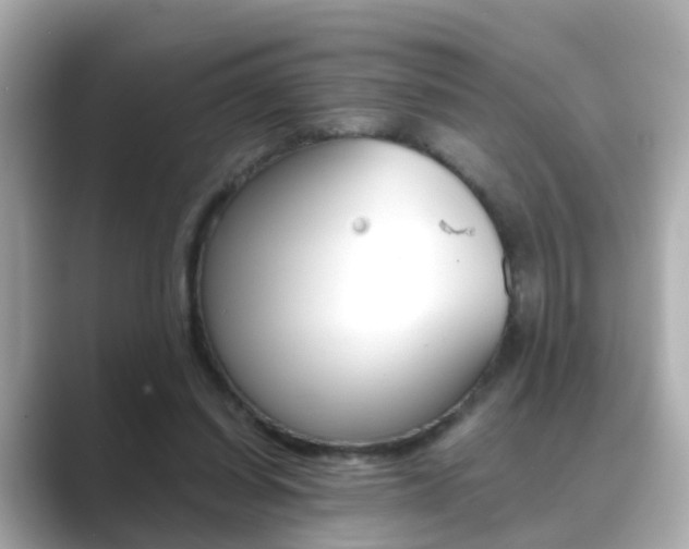 X0000089690254200706210840