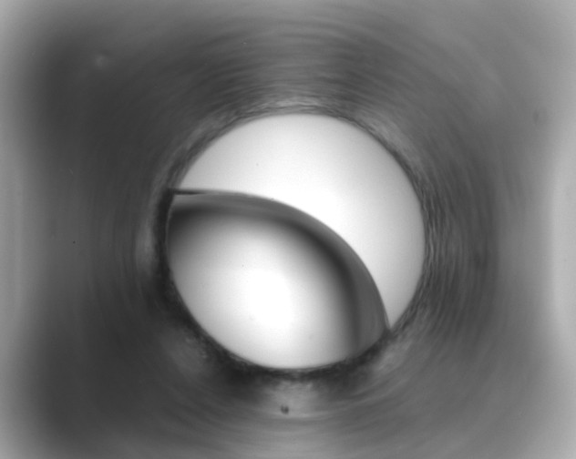 X0000089690256200706210840