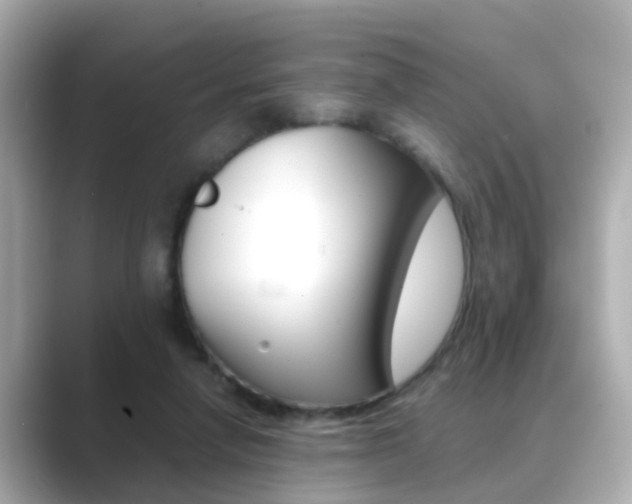 X0000089690258200706210840