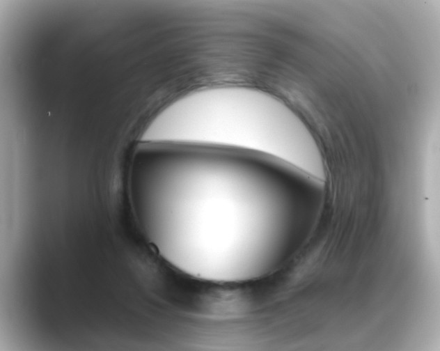 X0000089690260200706210840
