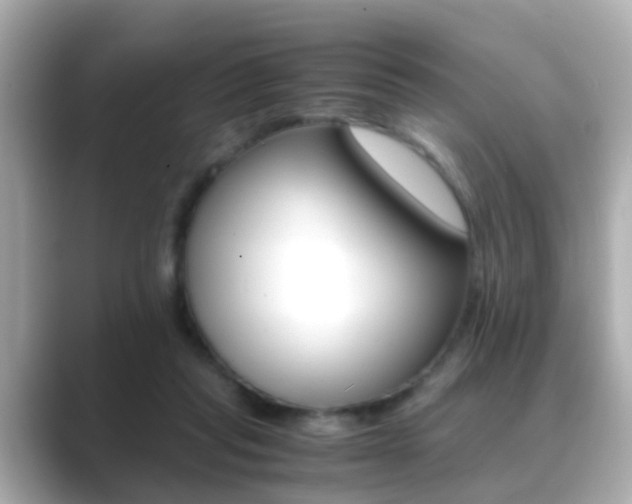 X0000089690261200706210840