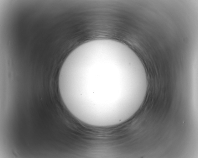 X0000089690264200706210840