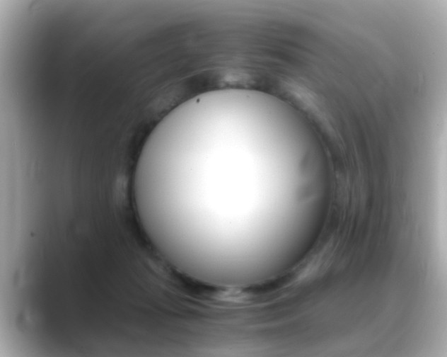 X0000089690269200706210840