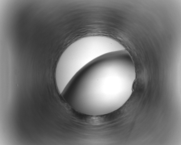 X0000089690277200706210840