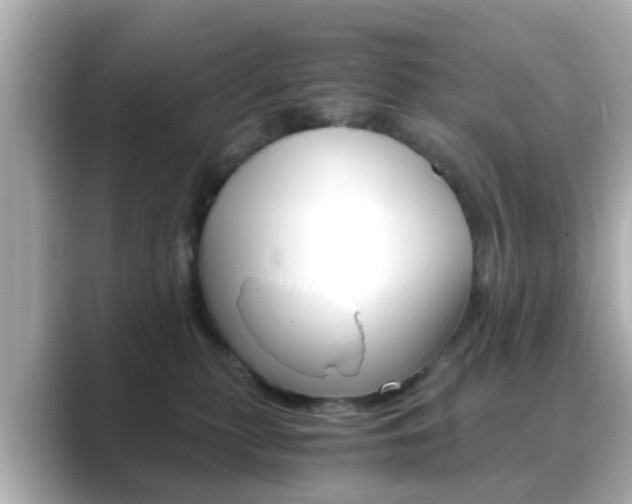 X0000089690279200706210840