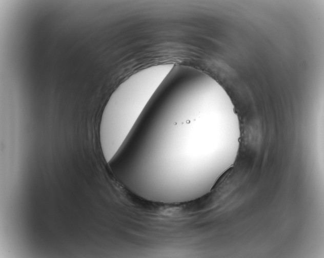 X0000089690283200706210840