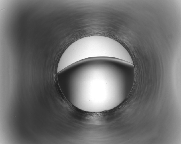 X0000089690288200706210840