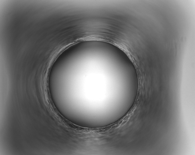X0000089690289200706210839