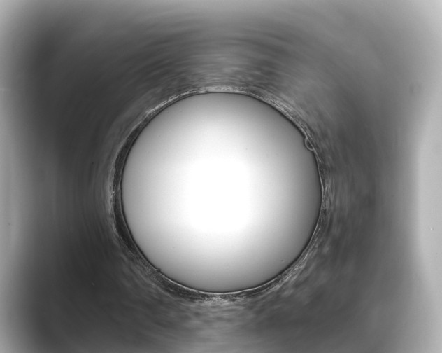 X0000089690290200706210839