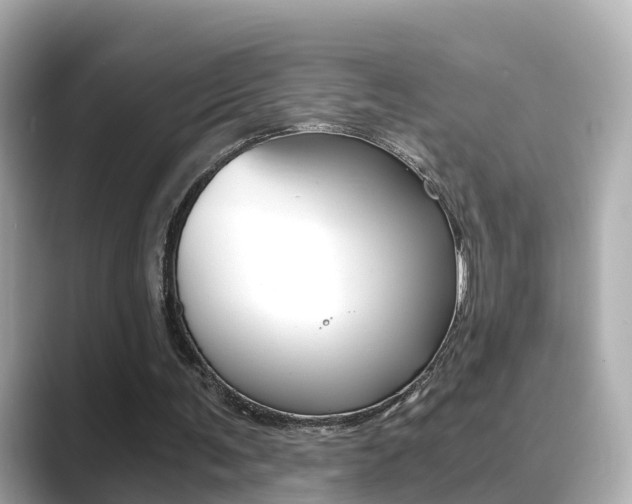 X0000089690291200706210839