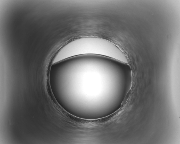 X0000089690293200706210839