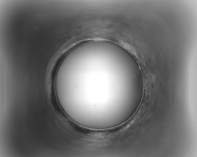 X0000089690295200706210839