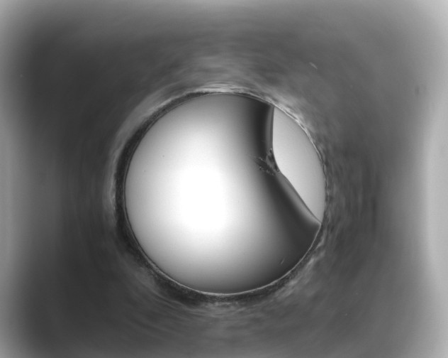 X0000089690296200706210839