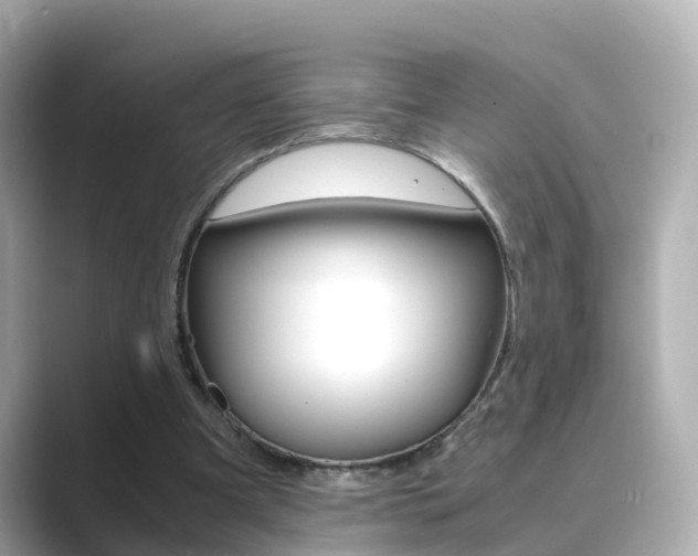 X0000089690297200706210839