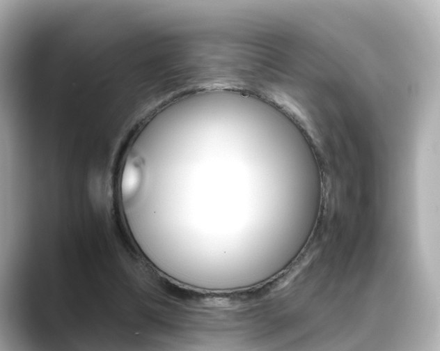 X0000089690298200706210839