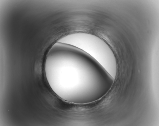 X0000089690299200706210839