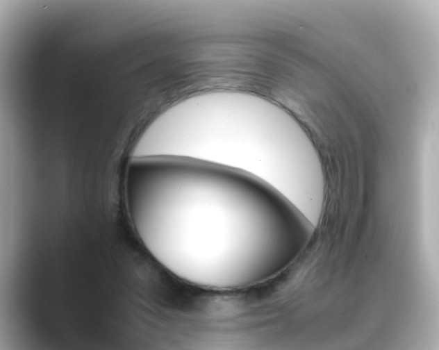 X0000089690303200706210839
