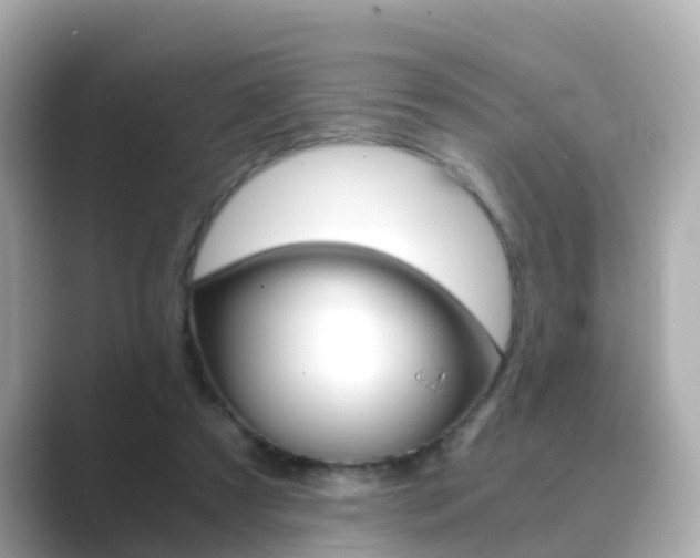 X0000089690305200706210839