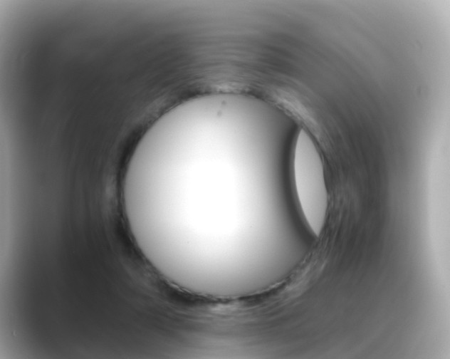 X0000089690306200706210839