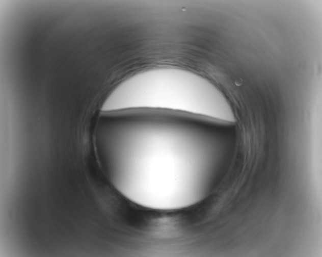 X0000089690312200706210839
