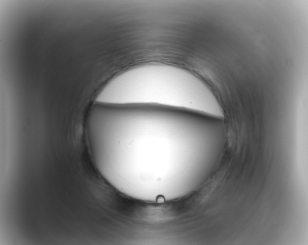 X0000089690314200706210839