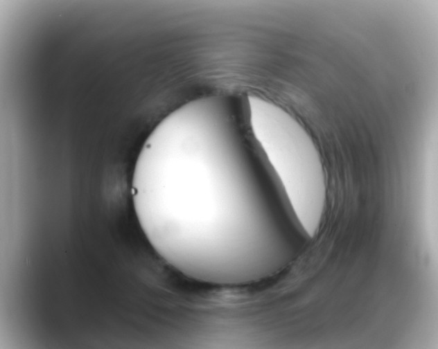 X0000089690320200706210839