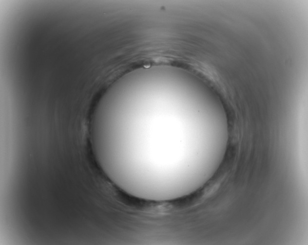X0000089690321200706210839