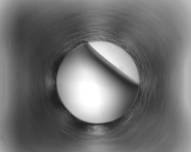 X0000089690324200706210839