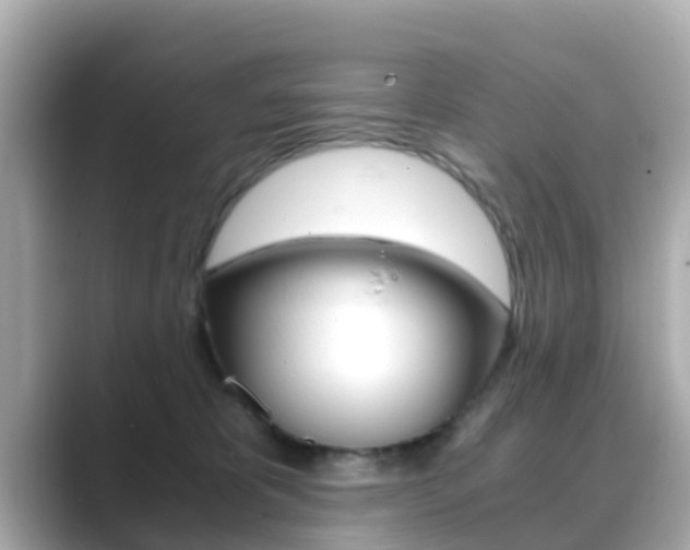 X0000089690325200706210839