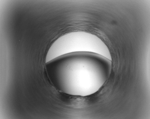 X0000089690329200706210839