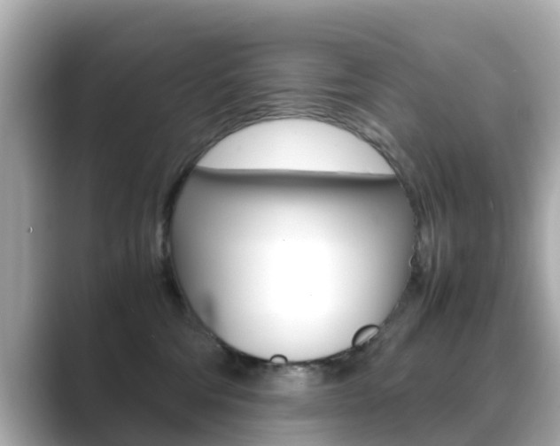 X0000089690330200706210839