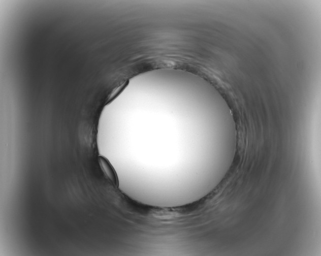X0000089690331200706210839