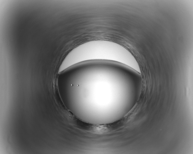 X0000089690333200706210839